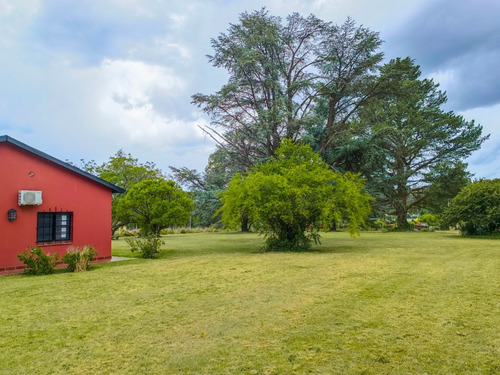 Imagen 29 de 30 de Cabaña Casa Quinta De Campo Tandil Alquiler Temporario Findes Largos Vacaciones Enero Febrero Marzo