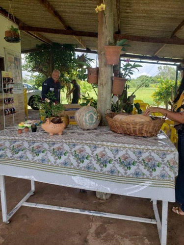 Imagem 8 de 14 de Restaurante E Pesque E Pague Vô Giba