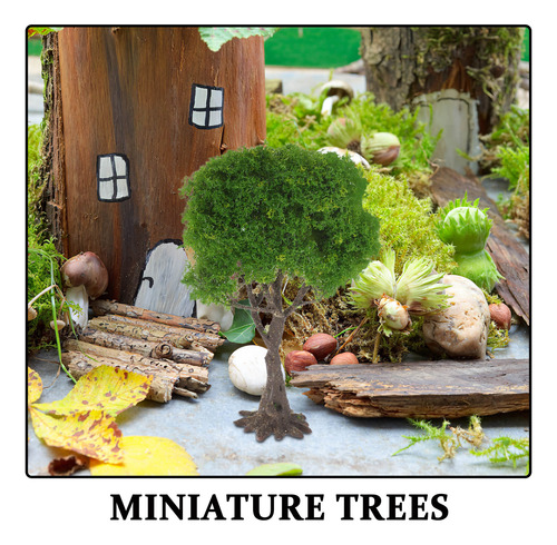 Árboles En Miniatura Para Maquetas Plantas En Miniatura Mode