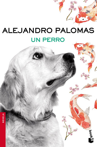 Alejandro Palomas Un perro Editorial Booket