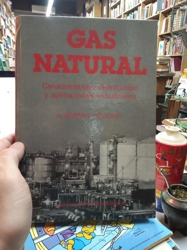 Gas Natural Borras Brucart