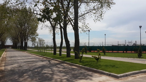 Imagen 3 de 12 de Terreno En Venta En La Alameda