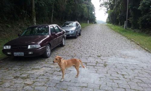Imagem 6 de 6 de Terreno Residencial À Venda, Santa Inês, Caieiras. - Te0246