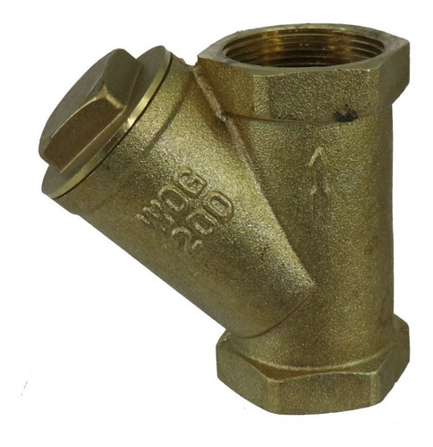 Valvula Check Retencion Columpio 1-1/2puLG 21600340
