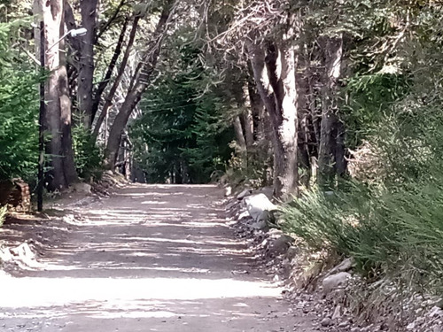 Venta De Lote Arbolado En Villa Traful Patagonia Argentina