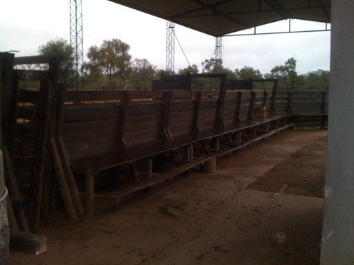 Imagen 4 de 13 de Excelentes Instalaciones Nuevas! Campo Totalmente Desarrollado