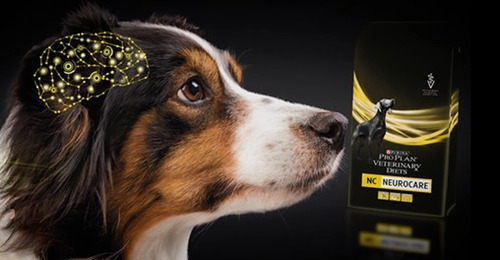 Pro Plan Veterinary Diets Neurocare Purina X 6 Libras. Ya!