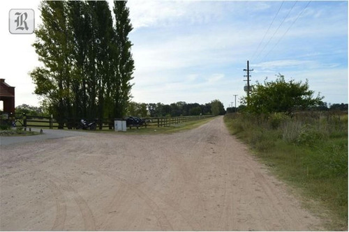 Imagen 4 de 4 de Hermoso Lote En Club Los Palenques!!