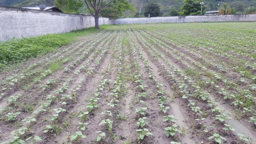 Casa Colonial Con 2 Hectareas De Terreno En Chirgua Socc
