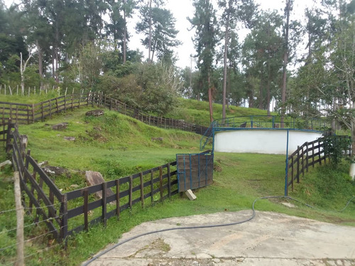Solo Clientes: Finca En Venta Montalban (mh)