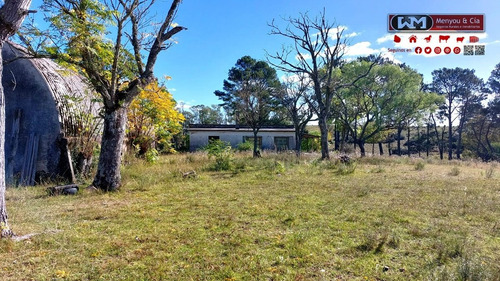Imagen 9 de 12 de Venta Campo Lavalleja 490 Has Forestal Ganadero 217has En Rebrote Forestal Suelos 2.11a Y 2.11b