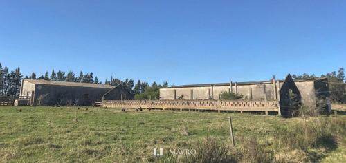 Chacra 39 Has Progreso Ideal Para Viñedos/logistico