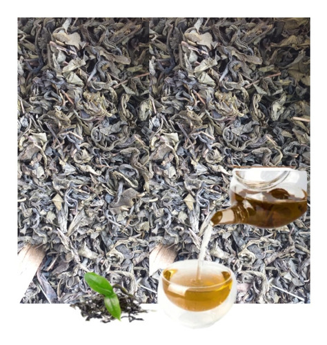 Té Verde Secas Enteras 1 Kg - Importadas