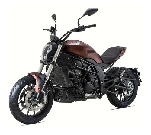 Imagen 2 de 22 de Benelli 502 C