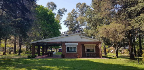 Imagen 1 de 13 de Quinta En Virrey Del Pino Barrio Oro Verde