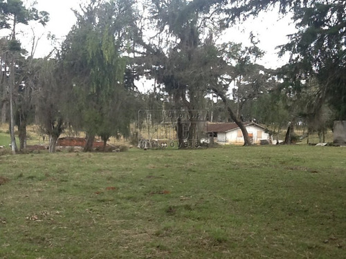 Imagem 10 de 30 de Chácara/fazenda/sítio Com 4 Dormitórios À Venda Por R$ 7.000.000,00 No Bairro Águas Claras - Piraquara / Pr - Ch1601