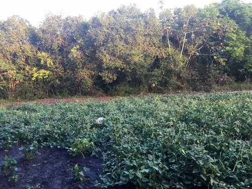 Chácara Para Venda Em Parnamirim, Estrada De Japecanga - Sitio Jardim, 3 Dormitórios, 2 Suítes, 3 Banheiros, 20 Vagas - Cha0648_2-658744