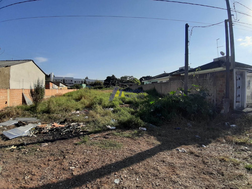 Imagem 2 de 10 de Lote / Terreno Em Campina Da Barra - Araucária - 446