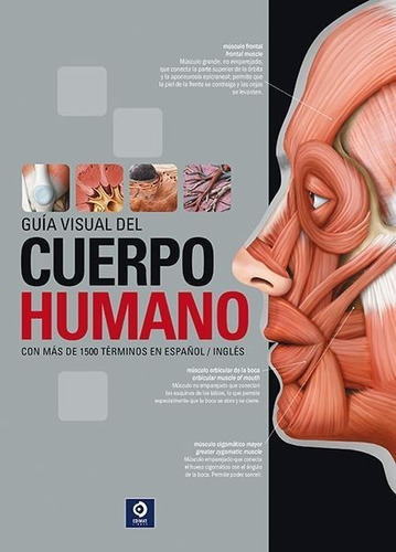 Libro: Guía Visual Del Cuerpo Humano. Belanger, Sylvian. Edi