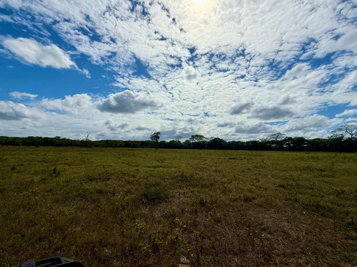 Finca Totalmente Productiva