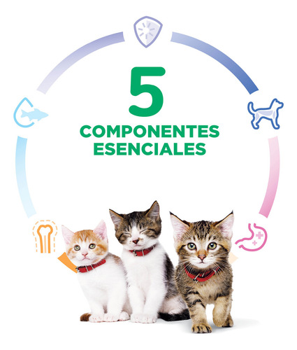 Hill's Science Diet Kitten Alimento Para Gatitos 1.6 Kg