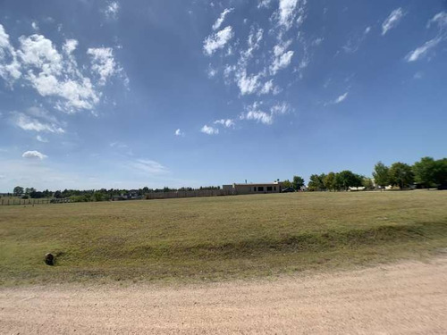 Imagen 5 de 13 de Venta Terreno De 1600m2 En Colinas De Carrasco