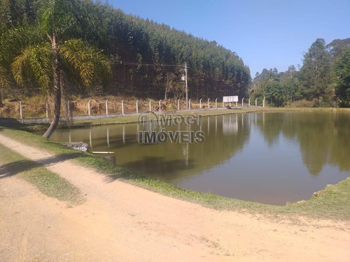 Imagem 10 de 15 de Chácara Para Venda Em Biritiba-mirim, Santa Catarina - Ch30_2-1220553