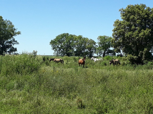 Imagen 14 de 14 de Venta Campo - Tu Lugar En El Mundo