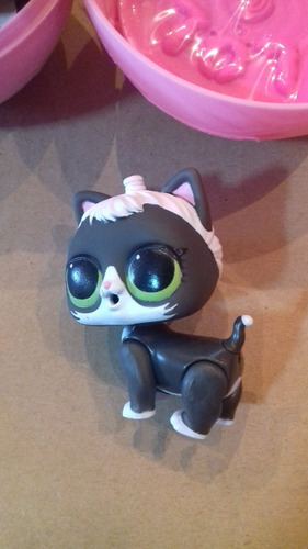 Imagem 2 de 5 de Boneca Lol Surprise Pets Fresh Feline Serie 3 Bonellihq C18