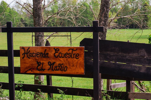Parcelas En Venta Sin Comisión En Panguipulli