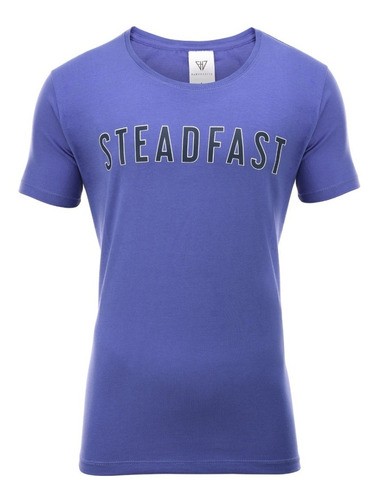 Remera Hombre Farenheite Steadfast