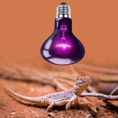 Lâmpada De Calor Simulada Da Lua, Lâmpada De Base De 100w