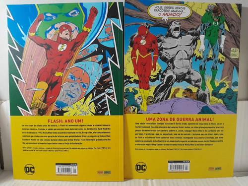 Lote 3 Hq A Saga De Flash Numero 1, 2 E 4 Panini Rjhm (Usado)