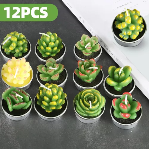 Velas Decorativas Cactus y Suculenta Artificiales 12 Pz