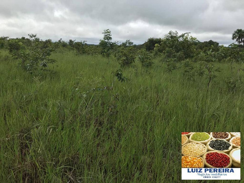 Imagem 12 de 15 de Fazenda À Venda Em Recursolândia - Ms - De 1.041 Alqueirões - 1648