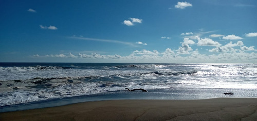 Imagen 9 de 20 de Suite En Playa Con Terreno Junto Al Mar En La Hermosa Costa Michoacana Preve