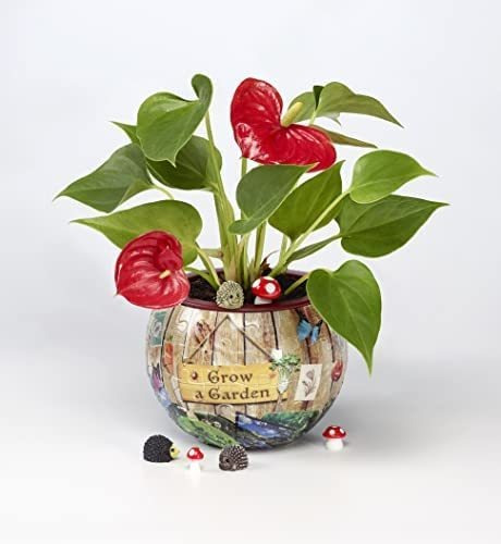 'grow A Garden 3d Flowerpot Puzzle - 80 Peças De Spartan &