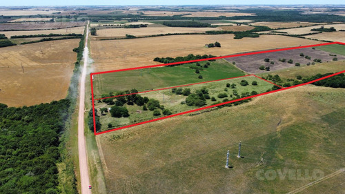 Estancia Con Casco Principal Campo Agrícola 200 Ha En Venta Carmelo Colonia Uruguay