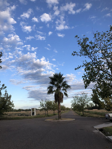 Terreno En Venta En Barrio Privado Viñas Del Sur - San Rafael - Mendoza