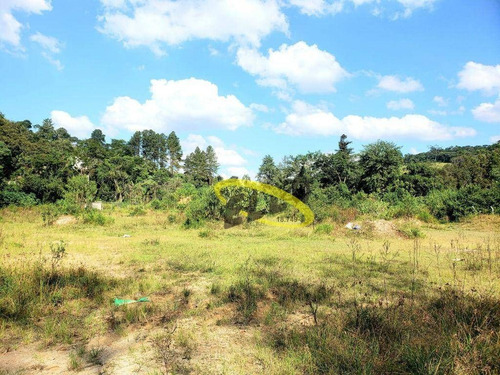 Imagem 10 de 22 de Área À Venda, 20000 M² Por R$ 8.000.000,00 - Chácara Roselândia - Cotia/sp - Ar0205
