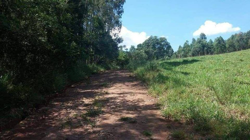 Imagem 12 de 13 de Sítio À Venda, 231800 M² Por R$ 600.000,00 - Belo Horizonte - Pouso Alegre/mg - Si0012