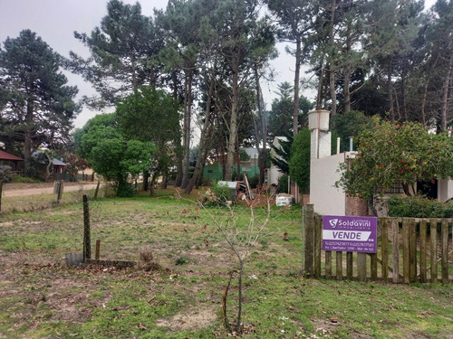Imagen 2 de 6 de Lote En Venta (219)