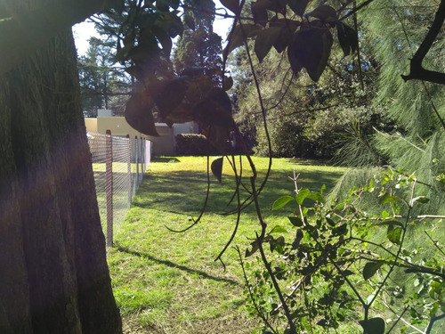 Imagen 2 de 5 de Lote 600 M2. Villa Udaondo