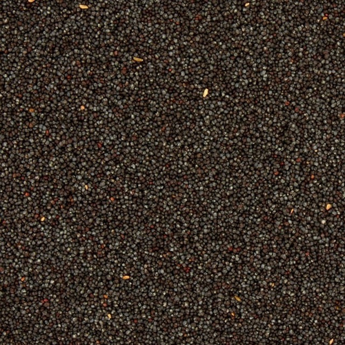 Poppy Seeds Great Value Semilla Amapola 67g