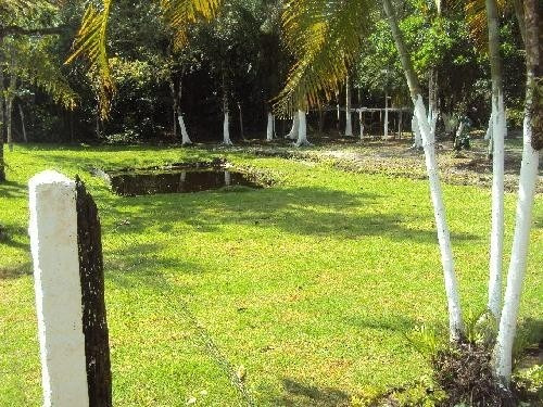 Bonita Chácara Com Lago No Gaivota Em Itanhaém - 0537 | Npc