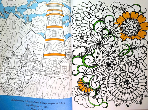 Libro Para Iluminar Mandalas Naturaleza C/12 Colores