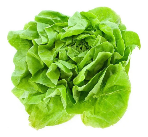 Semillas De Lechuga Batavia Mantecosa Caps X 500gr
