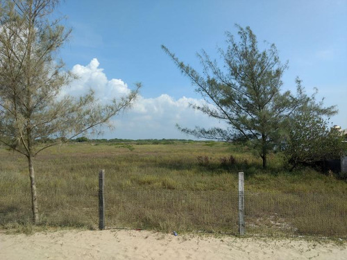 Venta Rancho 100 Has Frente A La Laguna De Tamiahua Veracruz