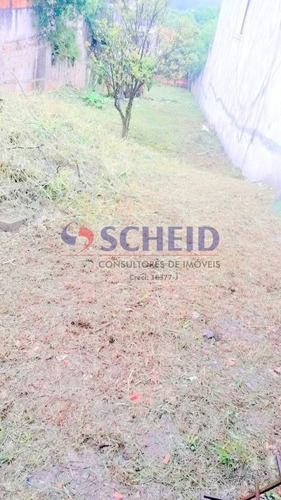 Imagem 3 de 6 de Terreno De 500m2 No Brooklin - Mc7602