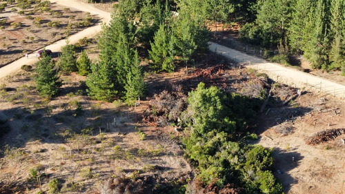Parcela En Venta En Pichilemu